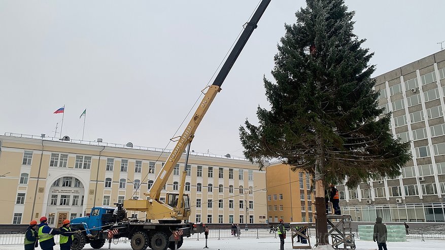 Главная картинка новости: В столицу Коми приехала главная новогодняя елка республики