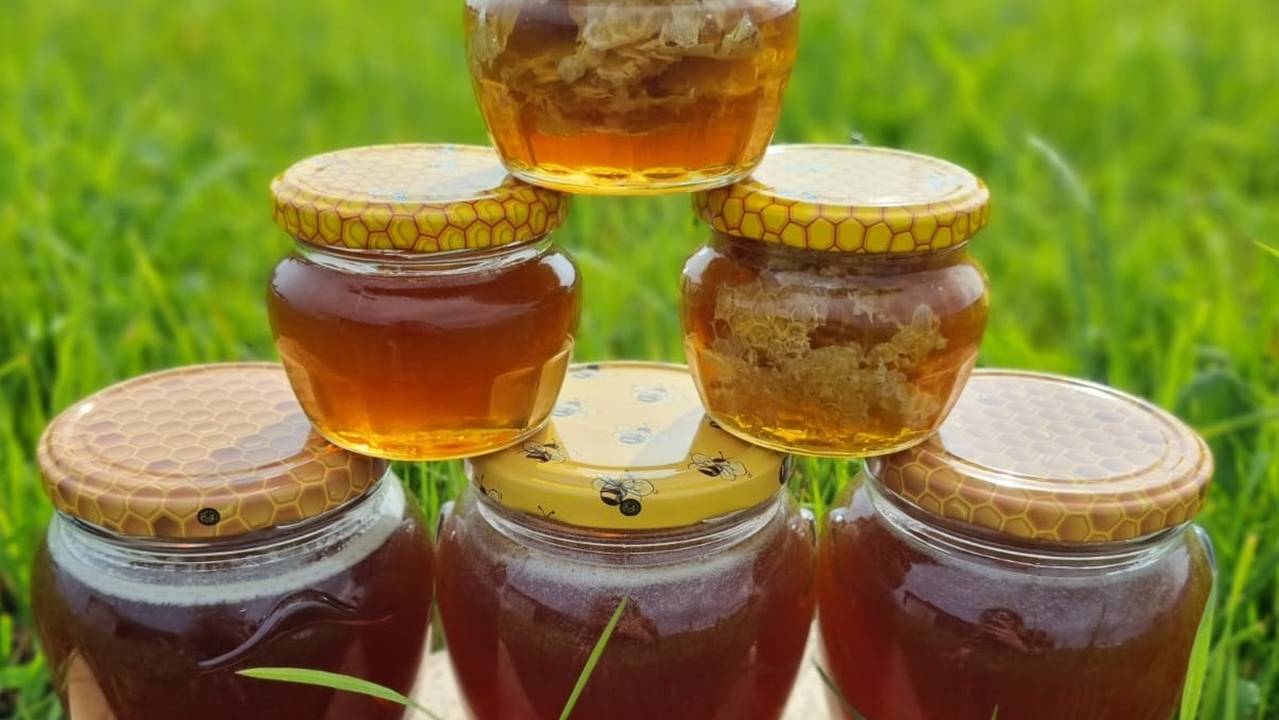 Главная картинка новости: Пчеловод из Коми Анастасия Корнышева планирует расширить ассортимент продукции и заняться организацией агротуров