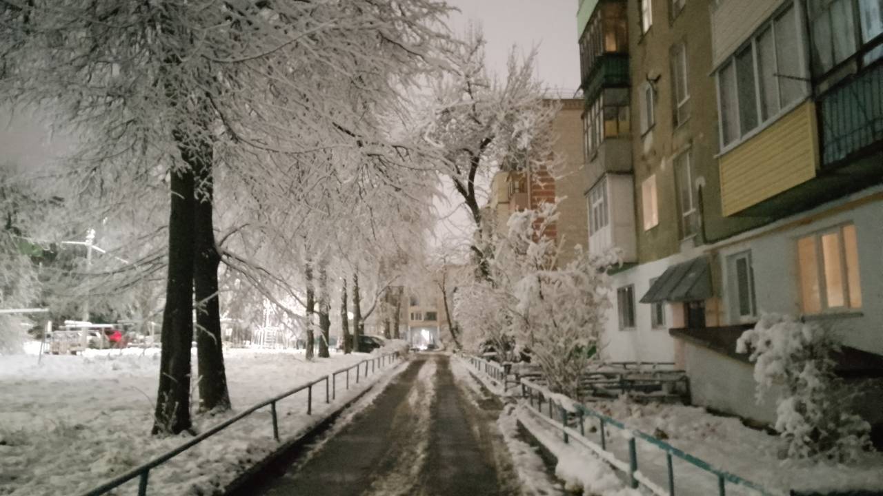 Главная картинка новости: Погода в Коми 8 декабря: небольшой снег, -6...-11°С