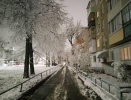 Погода в Коми 8 декабря: небольшой снег, -6...-11°С