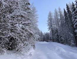 Тайны древнего Усть-Вымья: что скрывают забытые деревни?