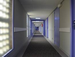 Гость из Новой Зеландии обошелся владельцу отеля в Коми в 200 000 рублей