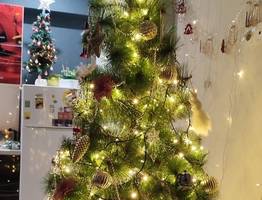 Как в Коми бюджетно елку украшали