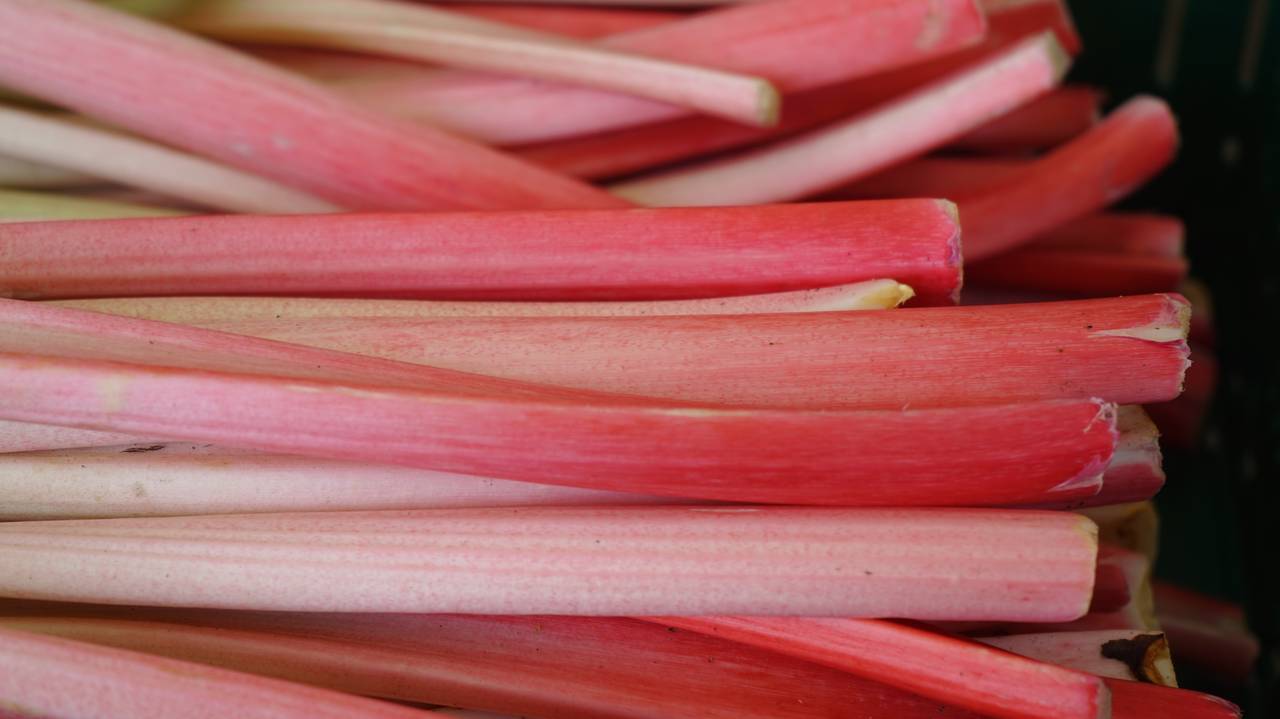 Овощ, который умертвляет почки: в Европе его не едят, а в России по-прежнему очень любят