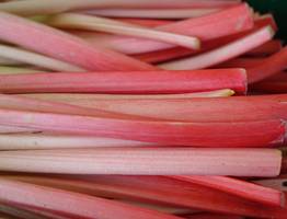 Овощ, который умертвляет почки: в Европе его не едят, а в России по-прежнему очень любят