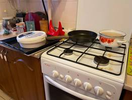 Указ подписали: с 1 января штраф 1500 рублей выпишут всем без исключения собственникам квартир с газовой плитой