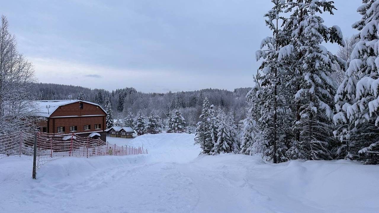 Свежий взгляд на Новый год: Альтернативные сценарии празднования в сердце тайги Коми