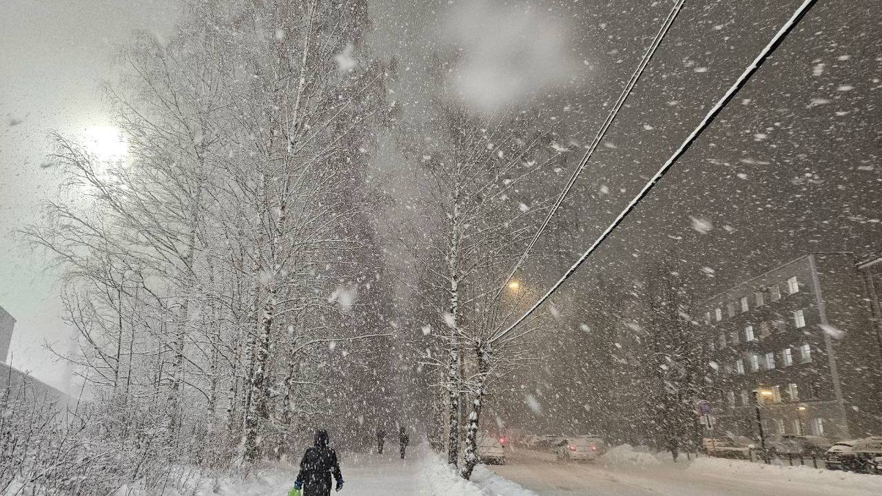 Зима 2025 в России отменяется: синоптик Вильфанд поставил окончательную точку в прогнозе на январь и февраль