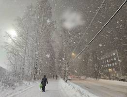 Зима 2025 в России отменяется: синоптик Вильфанд поставил окончательную точку в прогнозе на январь и февраль