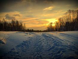 В Коми местные жители борются с мошенническими управляющими компаниями