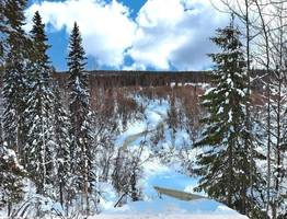 «Январь и февраль будут аномальными». Синоптики сказали, к чему нужно готовиться