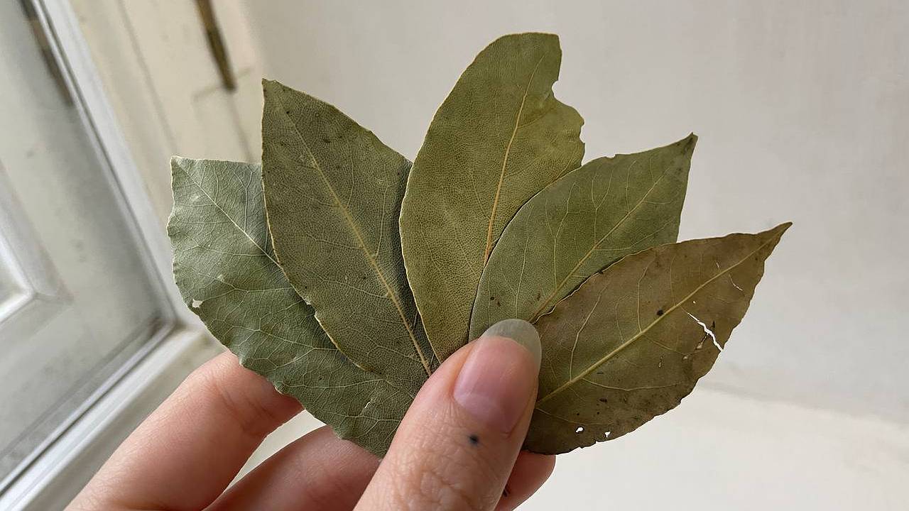 Главная картинка новости: Успокойте свои ночи с помощью лаврового листа: удивительные свойства, о которых вы даже не знали