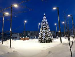 Жители Коми подводят итоги года: от доходов до здоровья
