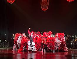 Зрители в Сыктывкаре раскритиковали балет «Кармен-сюита» за обилие эротических сцен