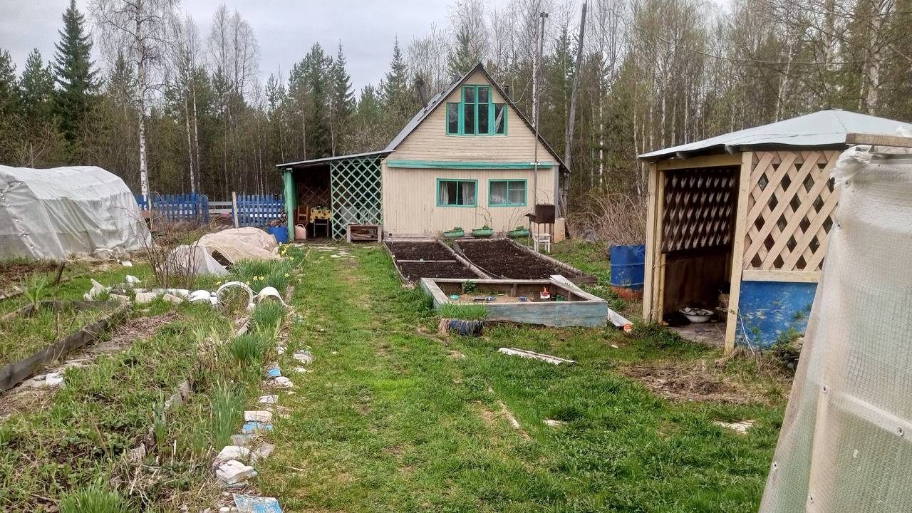 Главная картинка новости: Мешок в угол – погреб сухой как Сахара: ни намека на конденсата – потом и в огороде пригодится