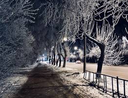 Туризм в Республике Коми: новые маршруты, инвестиции и перспективы