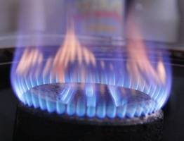 Указ подписали: с 1 января штраф от 1500 рублей выпишут всем собственникам квартир с газовой конфоркой