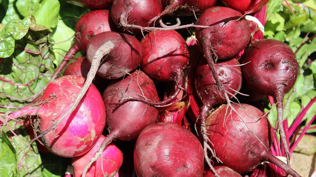 Главная картинка новости: Не варю свеклу часами — хватает 10 минут: есть одна уловка при варке — выходит намного вкуснее, сочнее и без запаха на весь дом