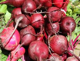 Не варю свеклу часами — хватает 10 минут: есть одна уловка при варке — выходит намного вкуснее, сочнее и без запаха на весь дом