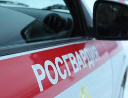 В Коми росгвардейцы задержали граждан за кражу продуктов из магазинов