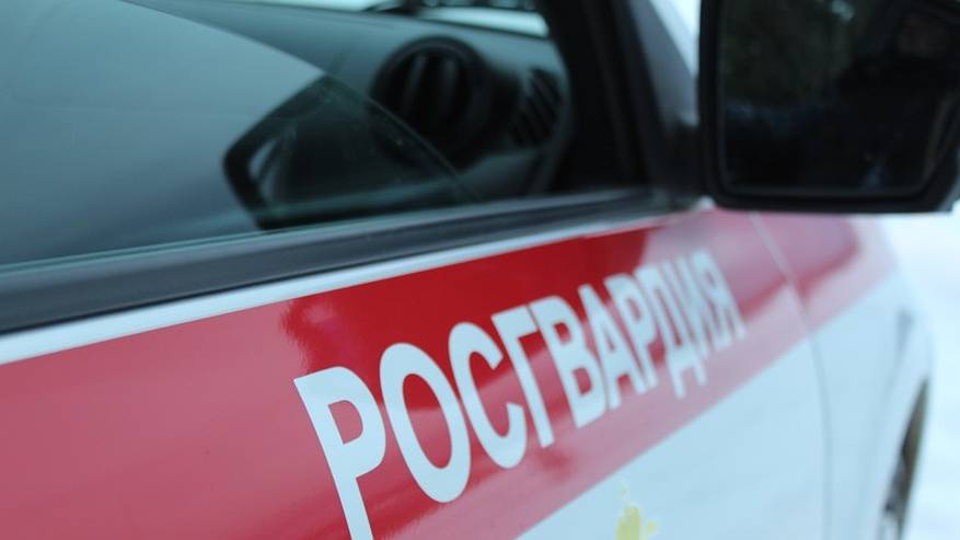 Главная картинка новости: В Коми росгвардейцы задержали граждан за кражу продуктов из магазинов