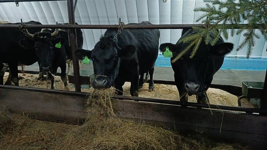Главная картинка новости: В Коми сильно увеличилась господдержка сельхозкооперативов