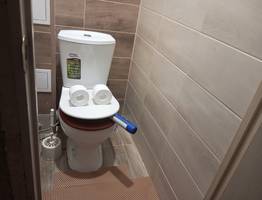 50 мл на 2 литра — и унитаз стал намного белее снега: от налета и ржвачины не осталось и следа