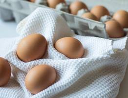 Куриные яйца очистятся за считанные секунды: ничего в воду добавлять не придется — лайфхак придумали гении