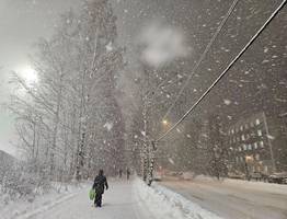 Синоптики рассказали о погоде в Коми на 31 декабря
