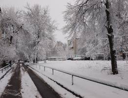 Синоптики рассказали о погоде в Коми на 1-й день 2025 года