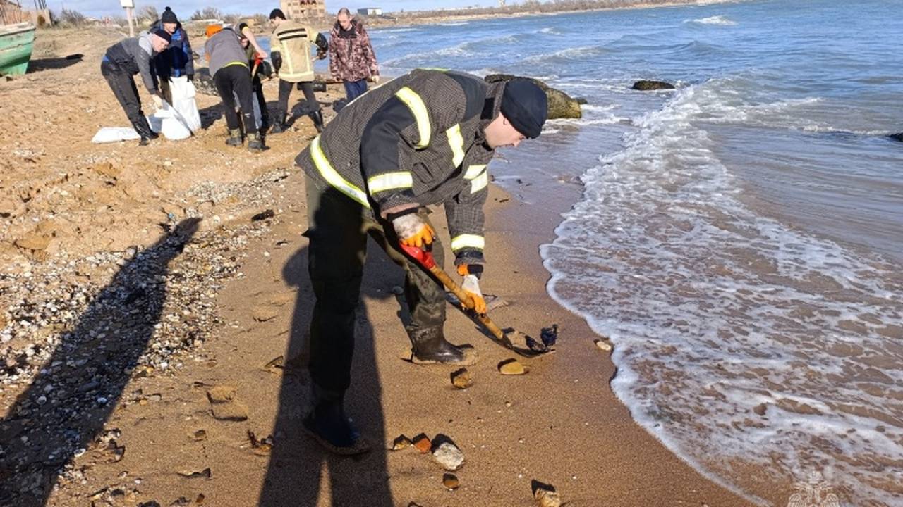 Жительница Коми встретила Новый год, отмывая от мазута и спасая птиц