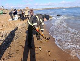 Жительница Коми встретила Новый год, отмывая от мазута и спасая птиц