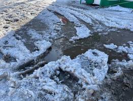 В одном из городов Коми закрыли зимнюю дорогу