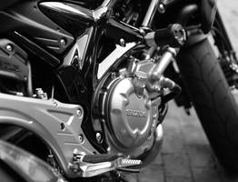 Байкеры устроили «гонку на выживание» из Москвы в Коми