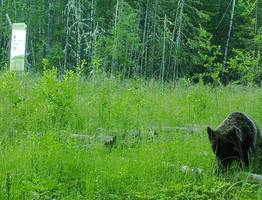 Нацпарк Койгородский в 2024 году посетили 300 туристов