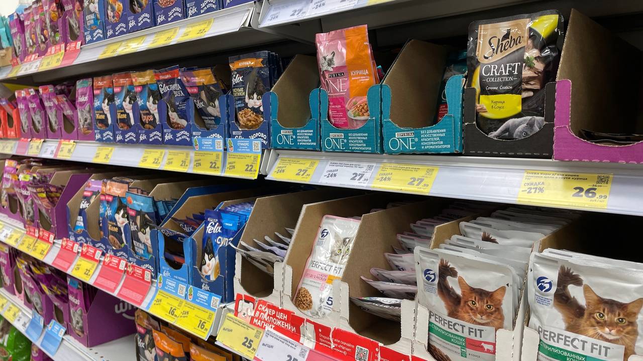 "Не травите этим кошек": в Роскачестве назвали самые худшие марки корма для питомцев
