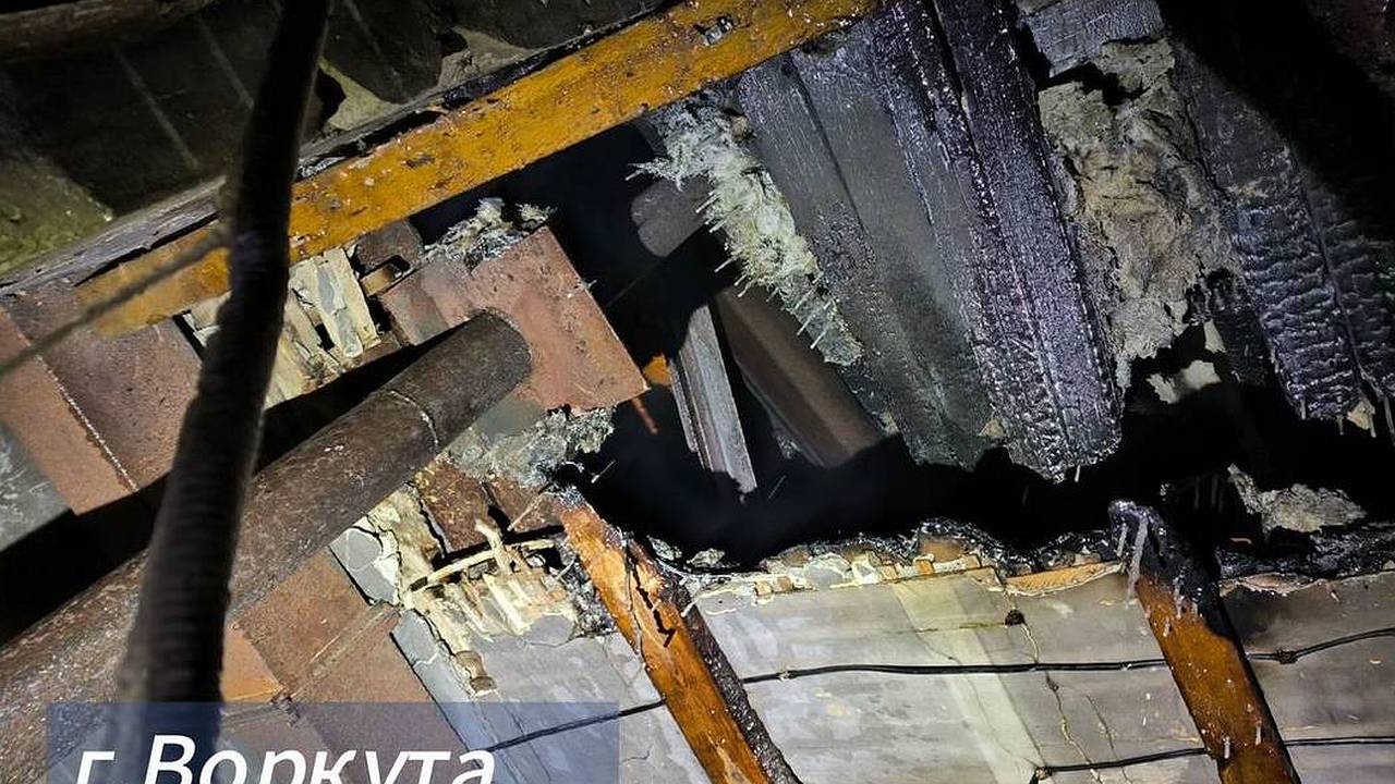 Главная картинка новости: В одном из городов Коми сгорел приют для собак