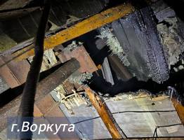 В одном из городов Коми сгорел приют для собак