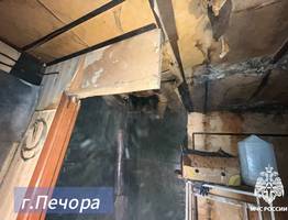 Под Сосногорском пожарные спасли двух пожилых людей