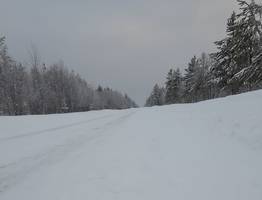 Крик о помощи! Дорога Микунь – Вожский: испытание на прочность для автомобилей и нервов