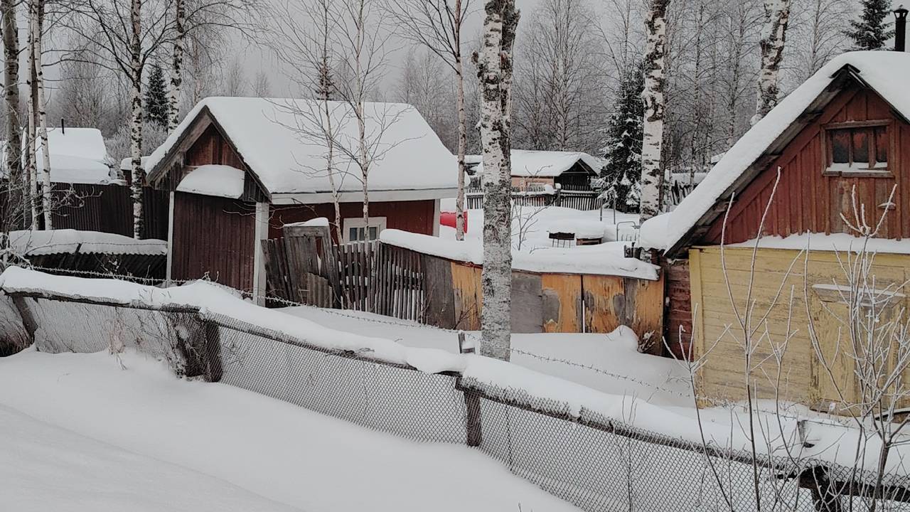 Погода в Коми 19 января: температура поднимется выше нуля