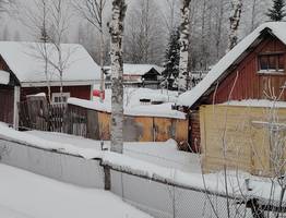 Погода в Коми 19 января: температура поднимется выше нуля