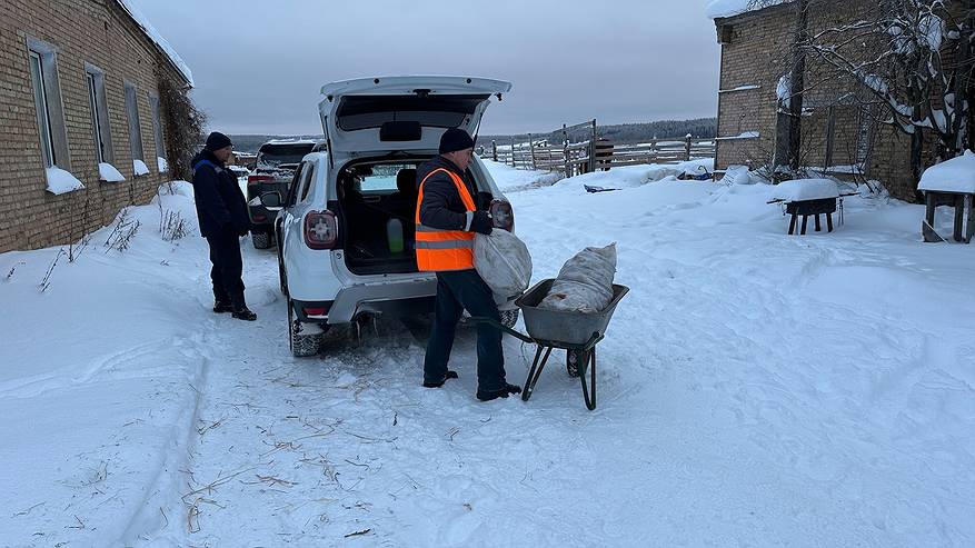 Главная картинка новости: 75% жителей Коми считают, что они трудоголики