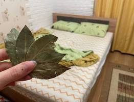 Успокойте свои бессонные ночи с помощью лаврового листа: невероятные свойства, о которых вы и не могли догадываться