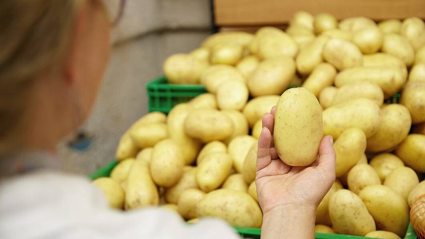 Главная картинка новости: В Коми сохранили выплаты самозанятым за продажу выращенного картофеля