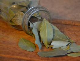 Эффект многого стоит: Топ-5 лайфхаков с лавровым листом, которые упростят вашу жизнь