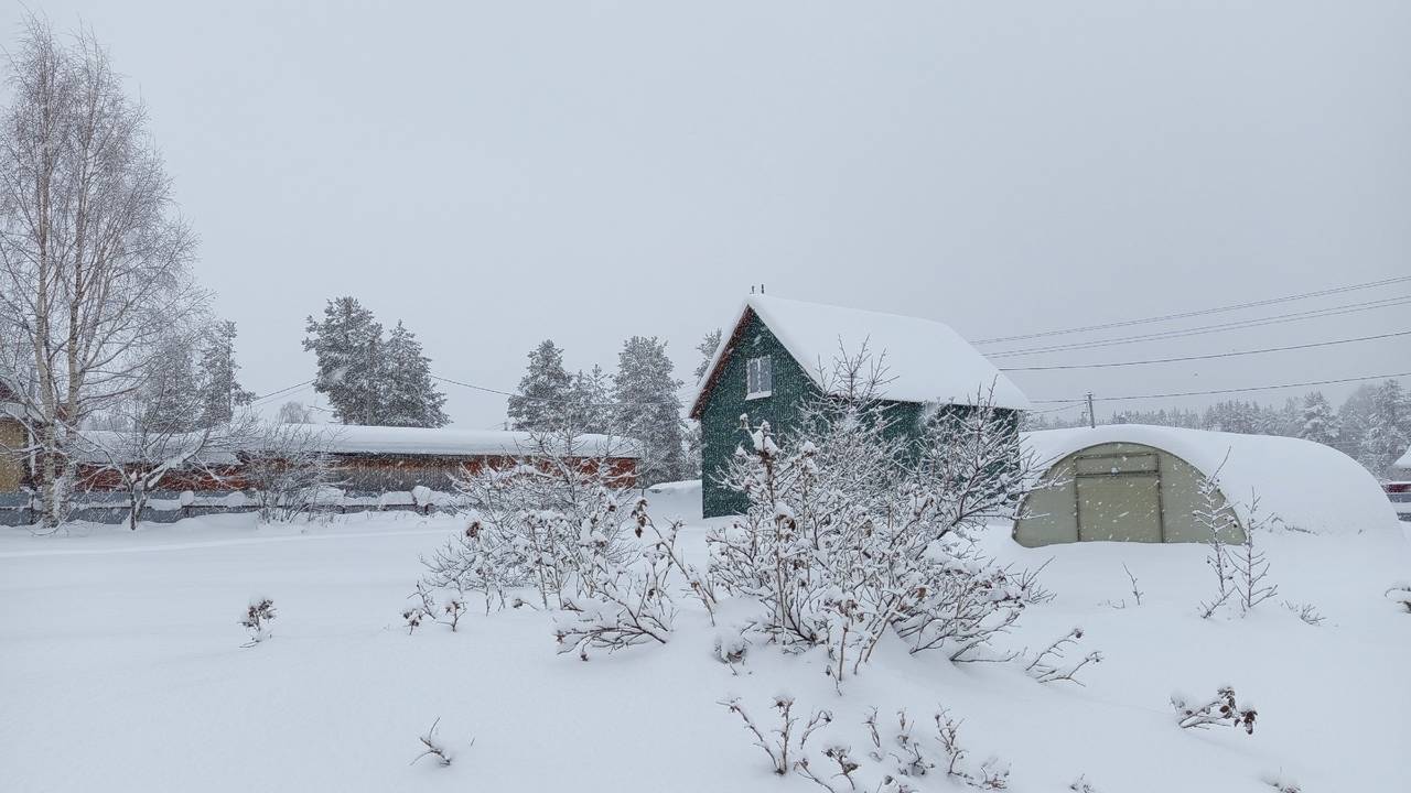 Аномальная жара ударит в феврале: синоптики предупредили о новых неожиданных сюрпризах