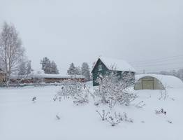 Аномальная жара ударит в феврале: синоптики предупредили о новых неожиданных сюрпризах