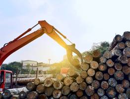 В Сыктывкаре женщина попала под колеса лесопогрузчика и погибла