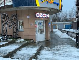 Прекращение работы с 27 января: Wildberries и Ozon приняли неожиданное решение для всех россиян